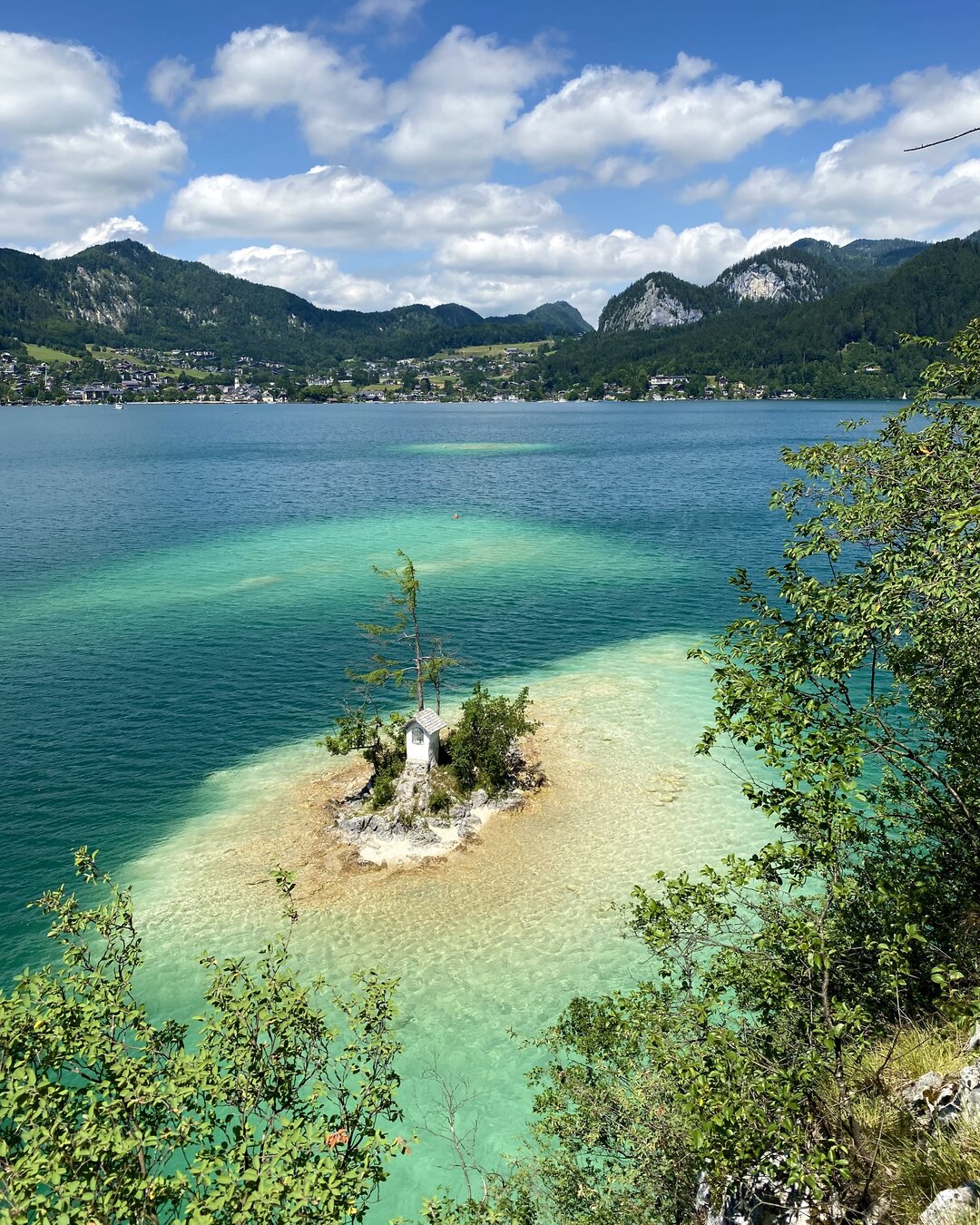 IMG_6004