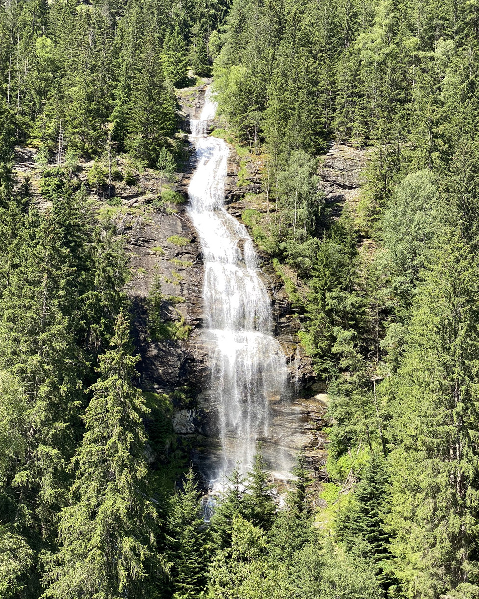 photo_11-4