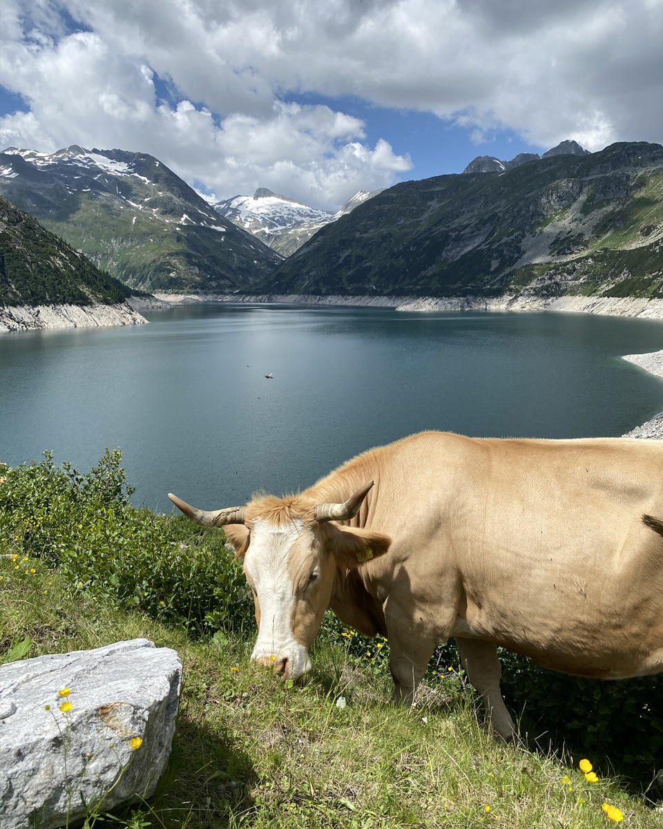 photo_13-3