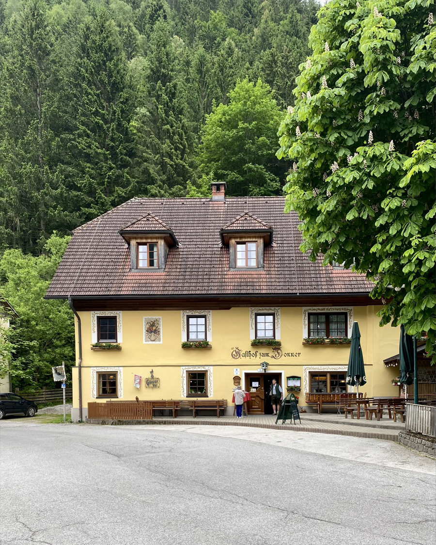 IMG_7856