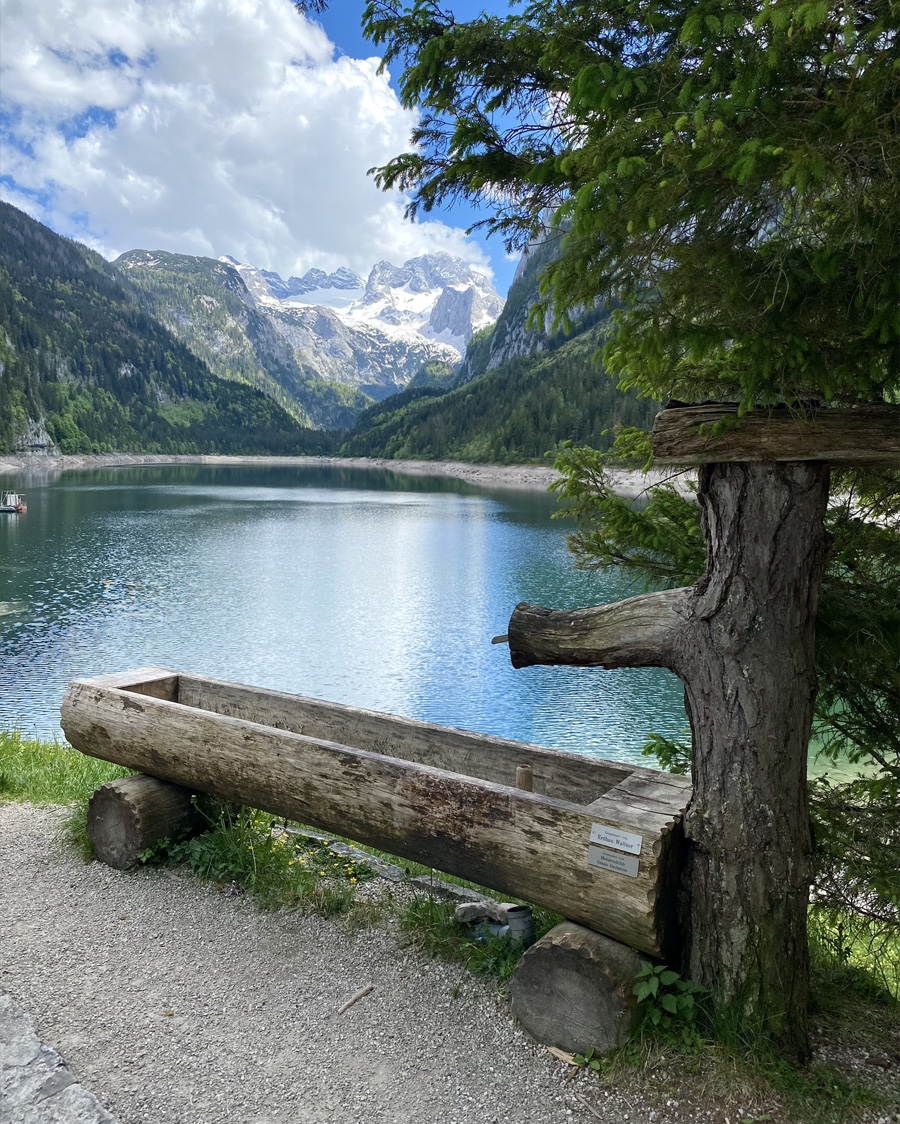 gosau_d_02