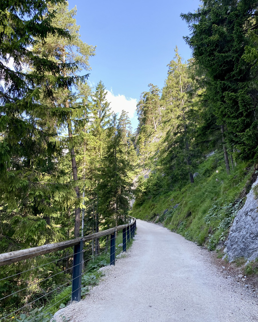 IMG_8064